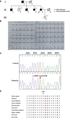 Case report: Whole-exome sequencing identifies a novel DES mutation (p. E434K) in a Chinese family with cardiomyopathy and sudden cardiac death